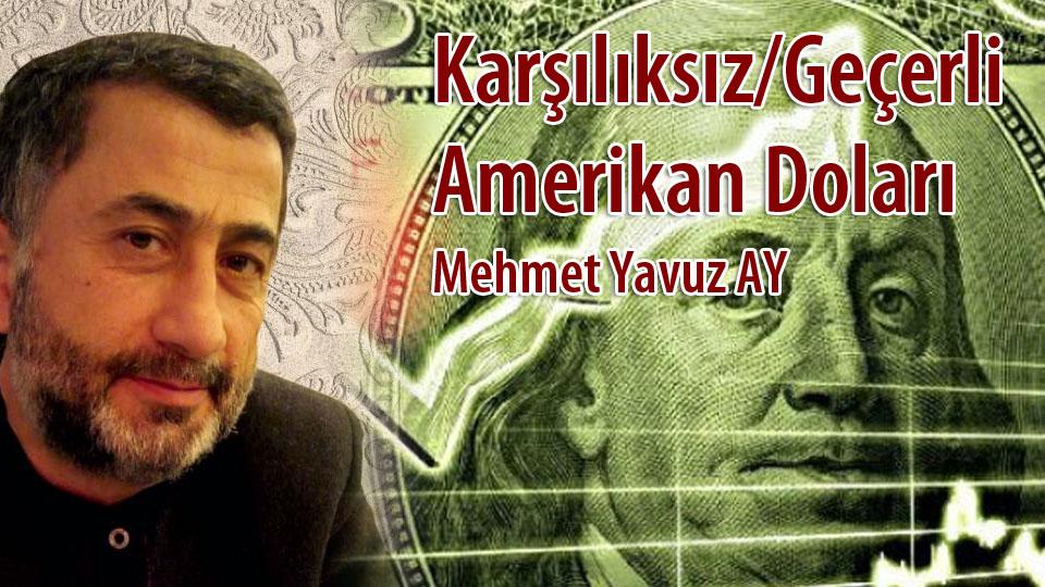 Karşılıksız/Geçerli Amerikan Doları / Mehmet Yavuz AY