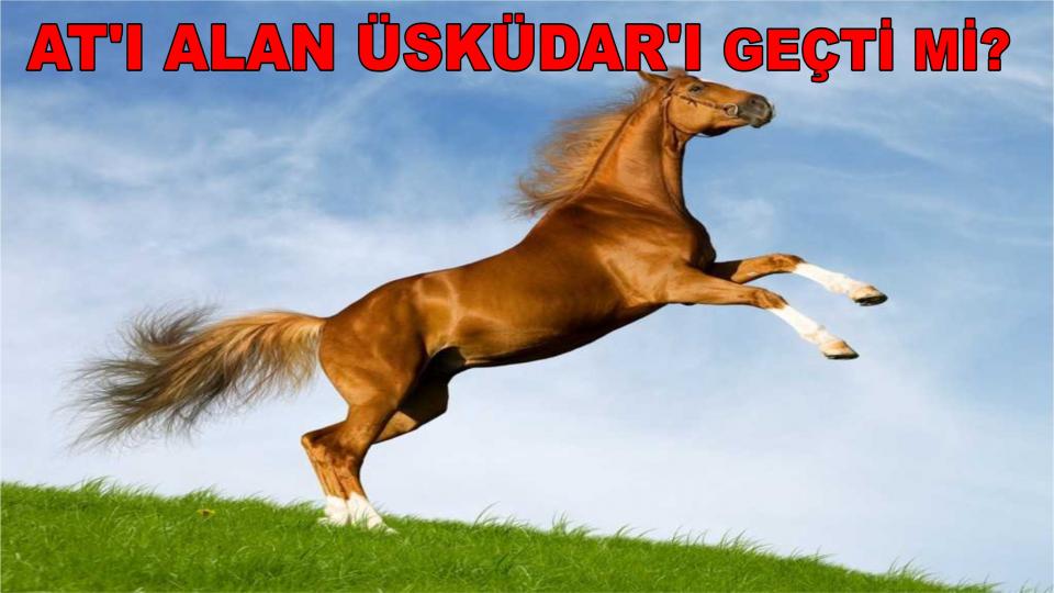 Her Taraf - Türkiyenin habercisi / BİR “DİKTATÖR” (!) İNŞA ETMEK - Prof. Dr. Burhanettin Can
