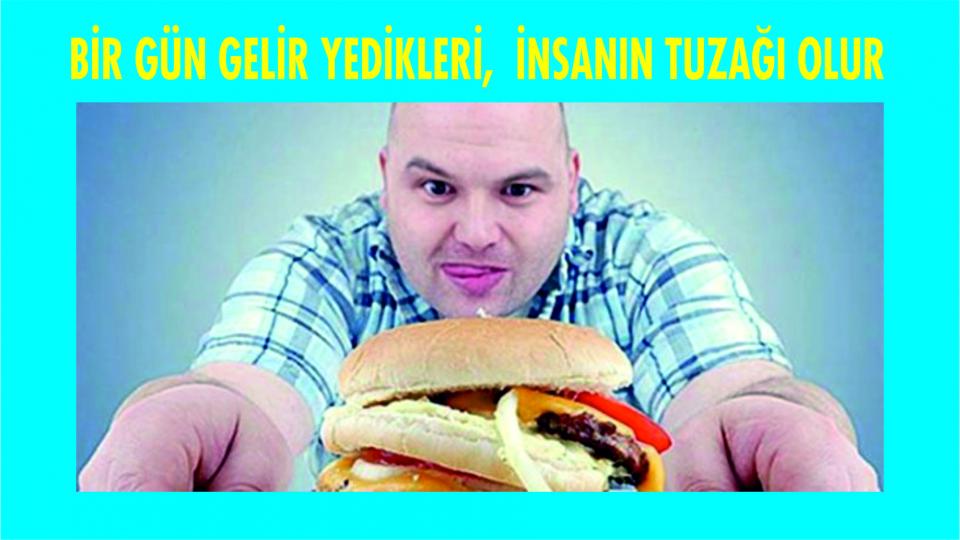 Her Taraf - Türkiyenin habercisi / MISIR MELİKİ MUKAVVIS’A YAZILAN MEKTUP - TAHSİN GÜLEN