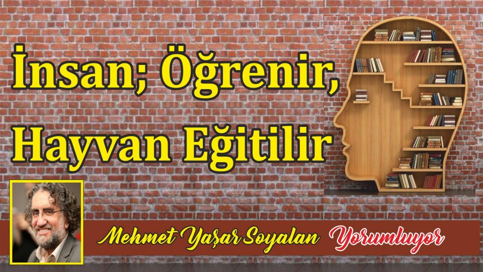 MEHMET YAŞAR SOYALAN / Papa, Konsil, İznik ve Anadolu’nun Gerçekleri / İnsan; Öğrenir, Hayvan Eğitilir /Mehmet Yaşar SOYALAN