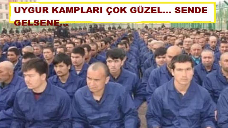 UYGUR KAMPLARI ÇOK GÜZEL… SENDE GELSENE…