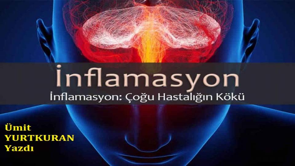 MİDE KANSERİ ve BAĞIRSAK HASTALIKLARI ÖNLENEBİLİRMİ…? / Ümit Yurtkuran / KRONİK İNFLAMASYONA KARŞI YAPABİLECEKLERİMİZ - Ümit YURTKURAN