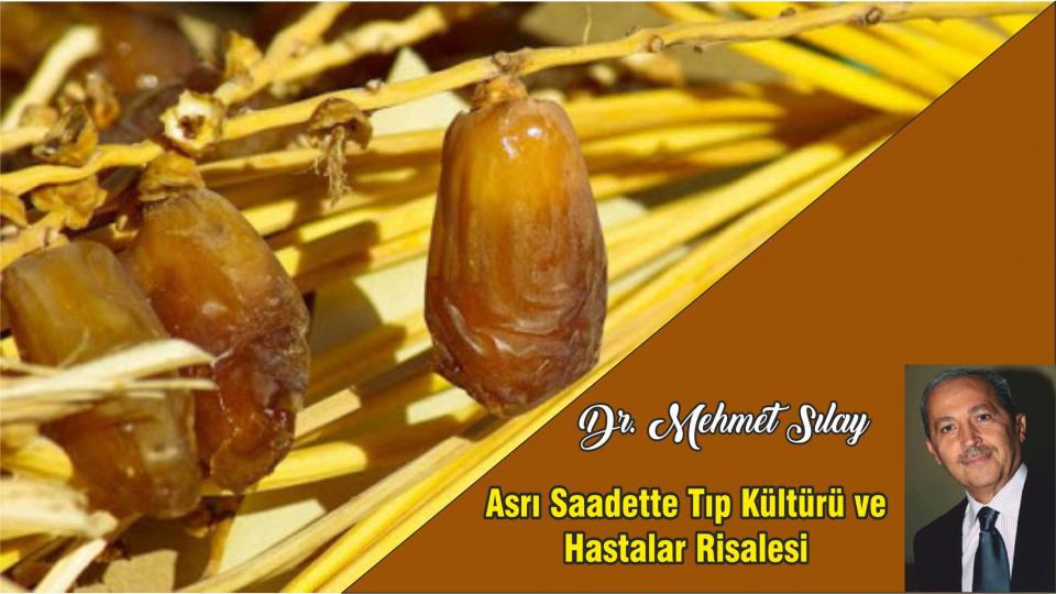 CUMALİ ÜNALDI; BİR KALEM EFENDİSİ/Mehmet SILAY / Asr-ı Saadette Tıp Kültürü ve Hastalar Risalesi - Dr. Mehmet SILAY