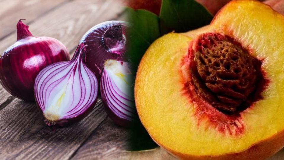 Vaka Sayıları Katlandı: 3 Yeni Salgın Ortaya Çıktı İşte Bulaşma Yolu ve Belirtileri