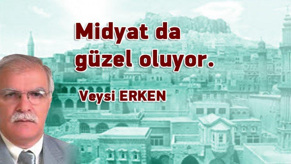 Tıp Fakültesi ve Şehir Hastahanesi Niçin Midyat’ta Olmalıdır-Veysi Erken / Midyat da güzel oluyor / Veysi ERKEN