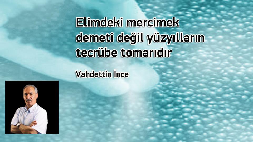Danayı mandaya bağlamayacaktım! |  Vahdettin İnce / Elimdeki mercimek demeti değil yüzyılların tecrübe tomarıdır / Vahdettin İnce