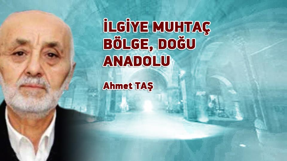 DEVLET İŞVEREN DEĞİL, DENETÇİ OLSUN-AHMET TAŞ / İLGİYE MUHTAÇ BÖLGE, DOĞU ANADOLU / Ahmet TAŞ