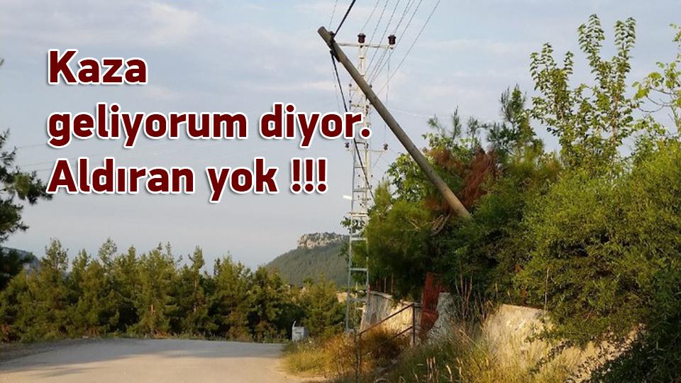 Kaza geliyorum diyor. Aldıran yok !!!