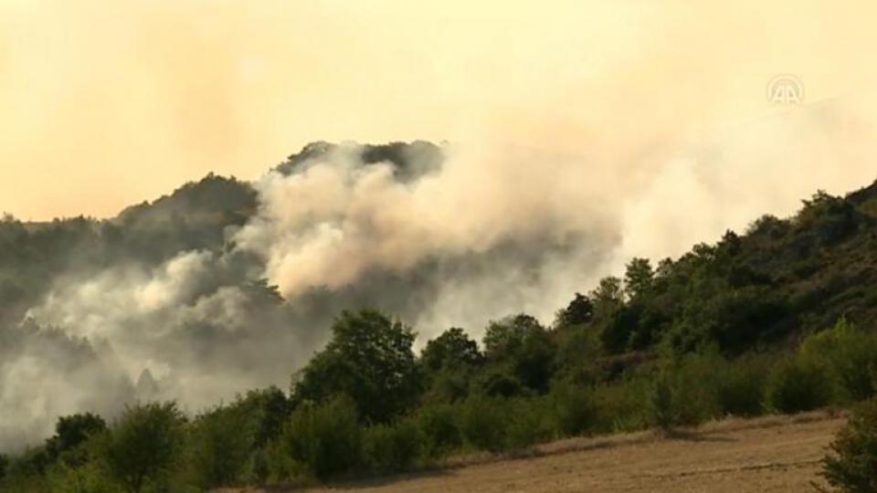 Son dakika... Ankara Çubuk'ta orman yangını!