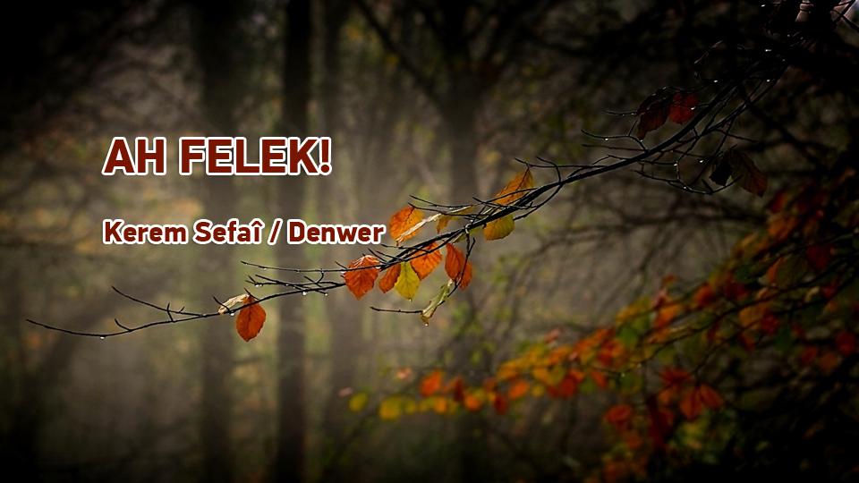 Gurbette Deprem | KEREM SEFAÎ / AH FELEK! / Kerem Sefaî / Denwer