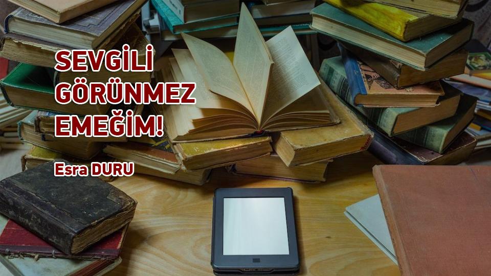 SON FRANKENSTEİN UYARLAMASINA ALT METİNLERİNDEN BİR BAKIŞ|ESRA DURU / SEVGİLİ GÖRÜNMEZ EMEĞİM! / Esra DURU