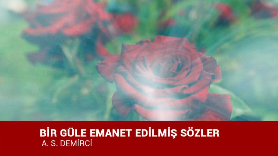 BİR GÜLE EMANET EDİLMİŞ SÖZLER / A. S. DEMİRCİ
