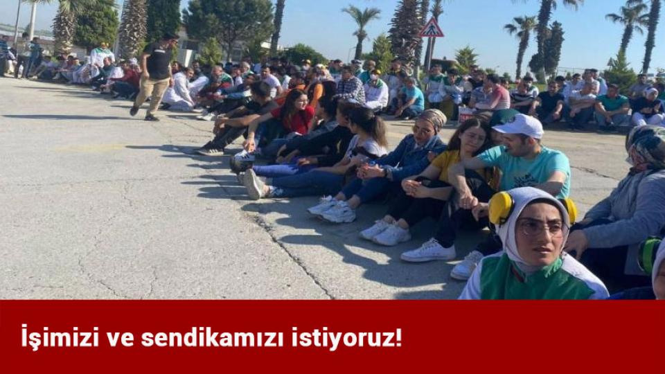 İşimizi ve sendikamızı istiyoruz!