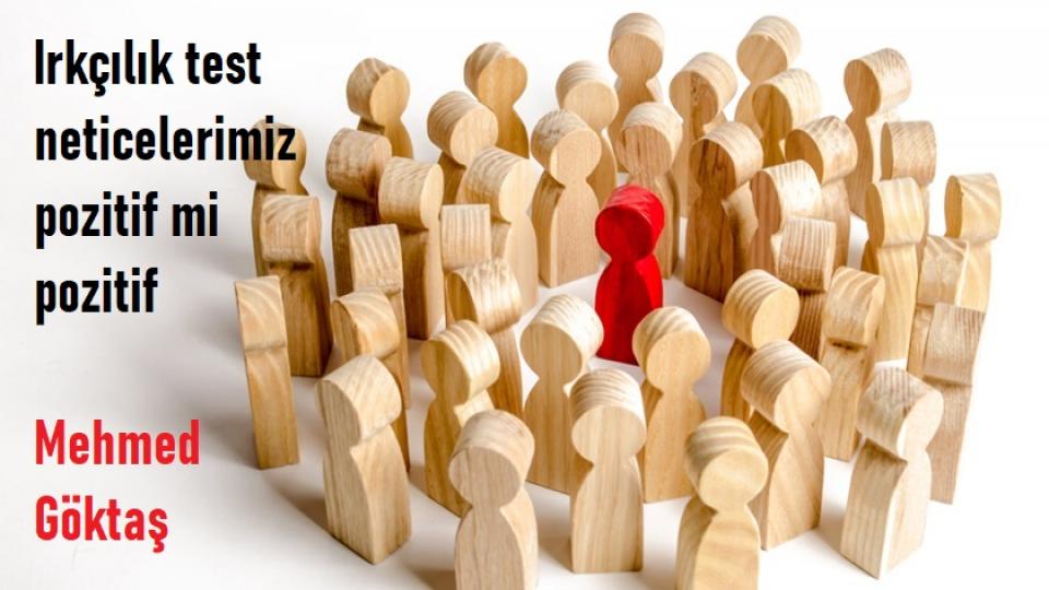 Gelelim tazminat meselesine!/Mehmed Göktaş / Mehmed Göktaş:Irkçılık test neticelerimiz pozitif mi pozitif