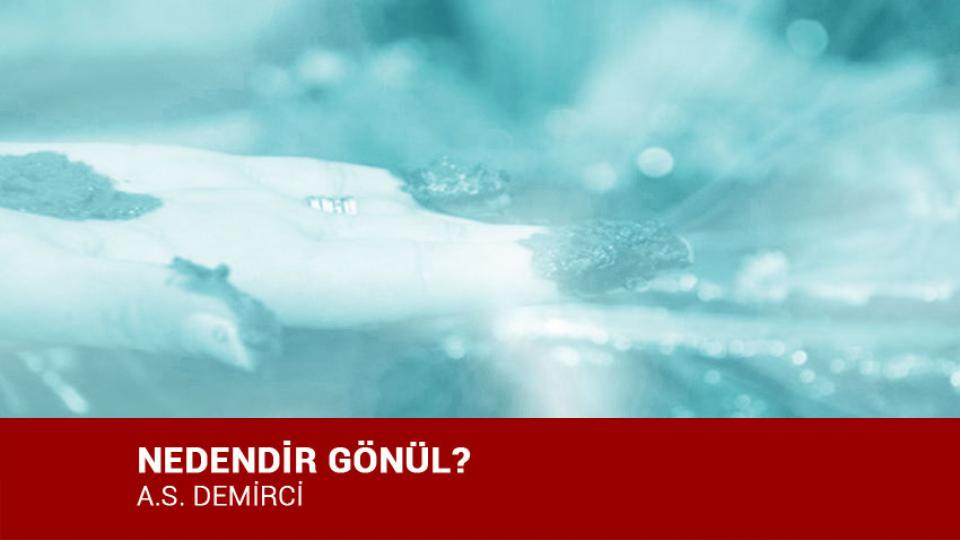 NEDENDİR GÖNÜL? / A.S. DEMİRCİ