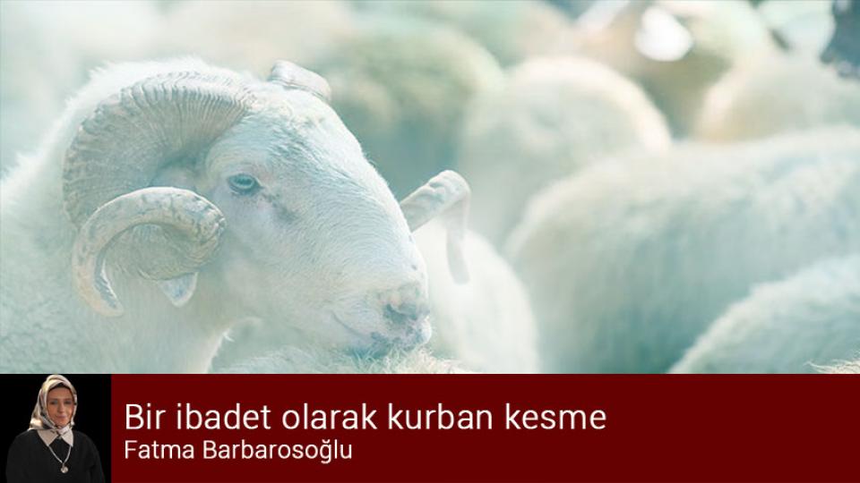 Bir ibadet olarak kurban kesme / Fatma Barbarosoğlu