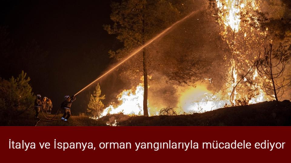 Rekabet Kurulu'ndan 2. el araç satan 4 internet sitesine soruşturma / İtalya ve İspanya, orman yangınlarıyla mücadele ediyor