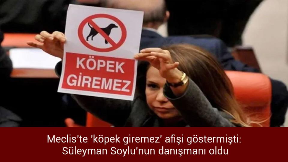 2022-YKS sonuçlarına göre 1 milyonu aşkın aday üniversiteye yerleşti / Meclis'te 'köpek giremez' afişi göstermişti: Süleyman Soylu'nun danışmanı oldu