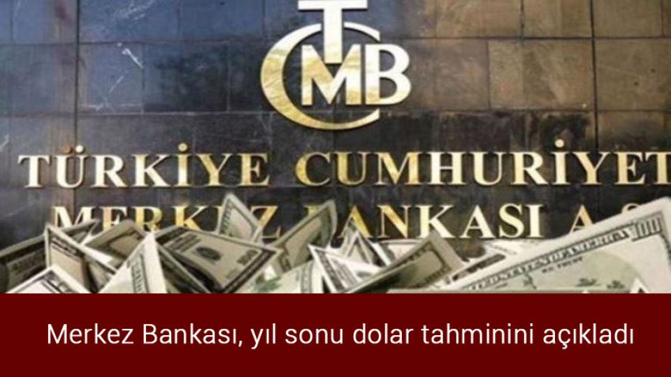 Ekolojik felaket: Binlerce balık nedeni bilinmeyen bir şekilde öldü / Merkez Bankası, yıl sonu dolar tahminini açıkladı