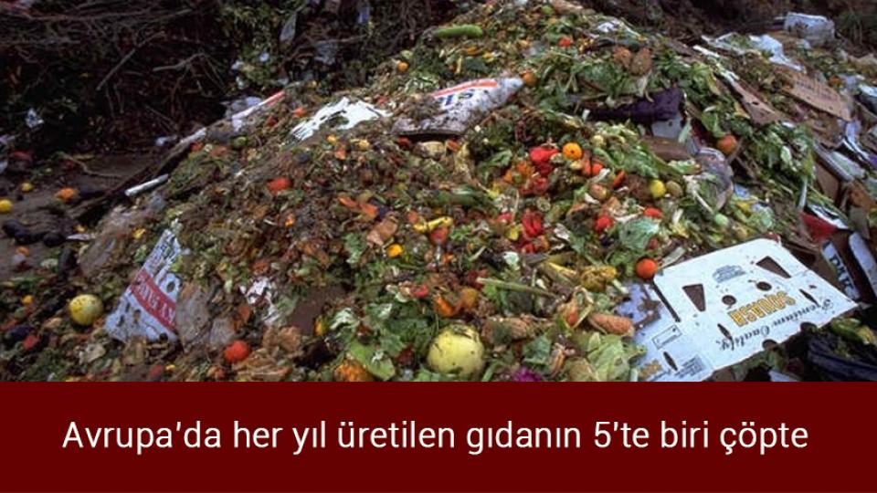 Marmaris'teki orman yangınına müdahale sürüyor / Avrupa’da her yıl üretilen gıdanın 5'te biri çöpte