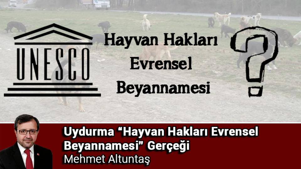 AYM KARARI GÜVENLİ SOKAKLAR İÇİN TARİHİ BİR EŞİK / Mehmet Altuntaş / Uydurma “Hayvan Hakları Evrensel Beyannamesi” Gerçeği.. / Mehmet ALTUNTAŞ