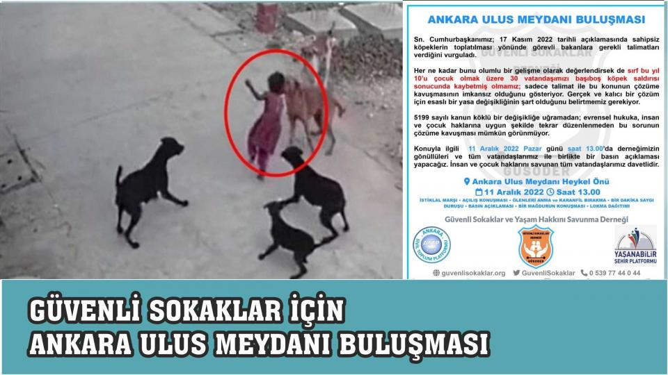 Üstün zekalı çocuklar öğretmenleri ve akranları tarafından ayrımcılığa maruz kalıyor / GÜVENLİ SOKAKLAR İÇİN ANKARA ULUS'TA BASIN AÇIKLAMASI YAPILACAK