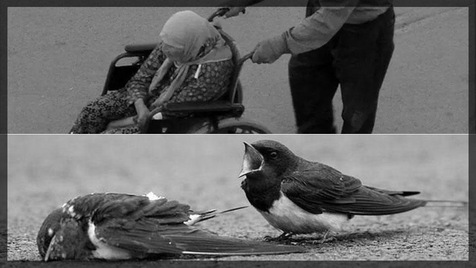 İyi Kadınlar ve İyi Erkekler İyilikte Yardımlaşır | HATİCE ALTUNTAŞ / Vefa Bilinci | HATİCE ALTUNTAŞ
