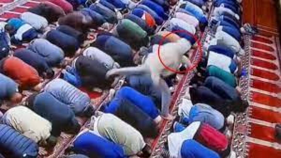 ABD'de cami imamına sabah namazında bıçaklı saldırı