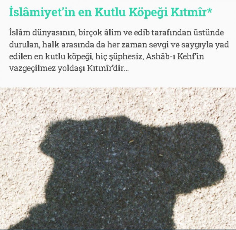Ahmet hakan Çakıcı