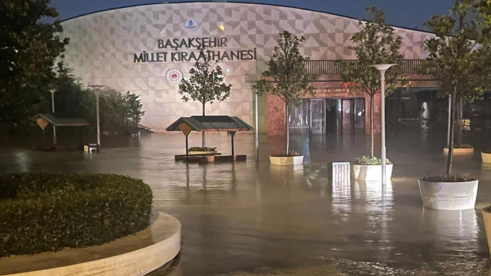 Barış: Yitirileni bulmanın sevinci | Ümit Aktaş / Politikacı, göçmen ve şair | Ümit Aktaş