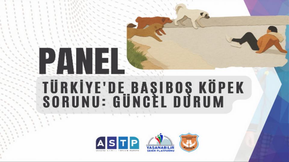 Her Taraf - Türkiyenin habercisi / Ankara’da “Türkiye’de Başıboş Köpek Sorunu: Güncel Durum” Paneli Düzenlenecek