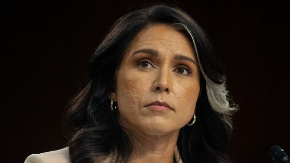 ABD'de istihbarat direktörlüğünden istifa eden Gabbard: Hükümet 120'den fazla biyolojik laboratuvarı finanse ediyor