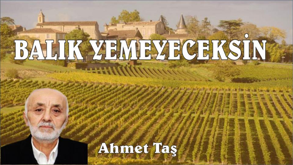 Her Taraf / Türkiye'nin habercisi / BALIK YEMEYECEKSİN-Ahmet Taş