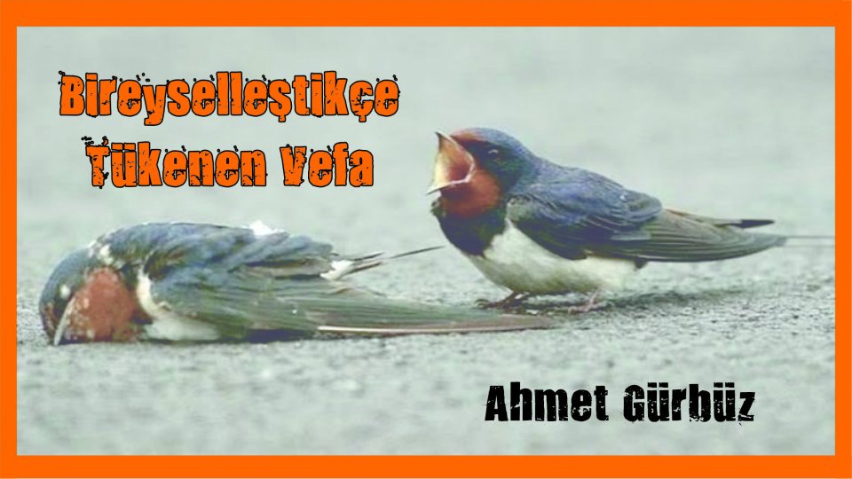 AHMET GÜRBÜZ / Bireyselleştikçe Tükenen Vefa