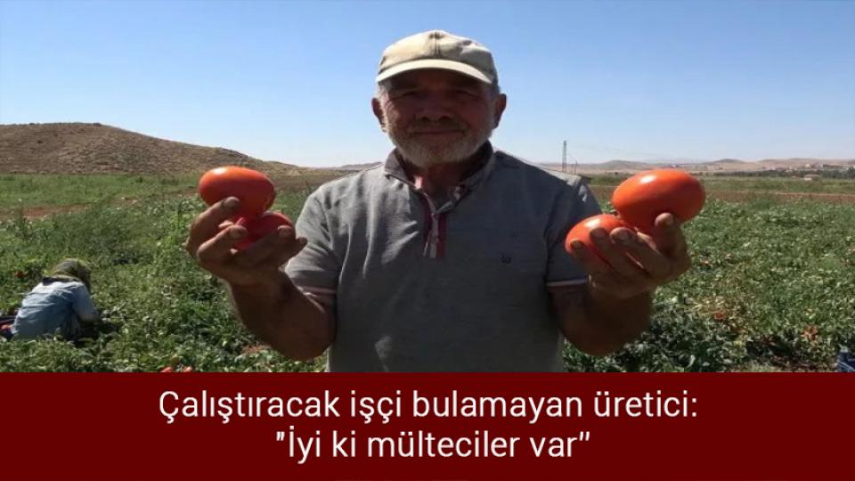SGK uzmanı, 2023'te asgari ücret için rakam verdi / Çalıştıracak işçi bulamayan üretici: "İyi ki mülteciler var”