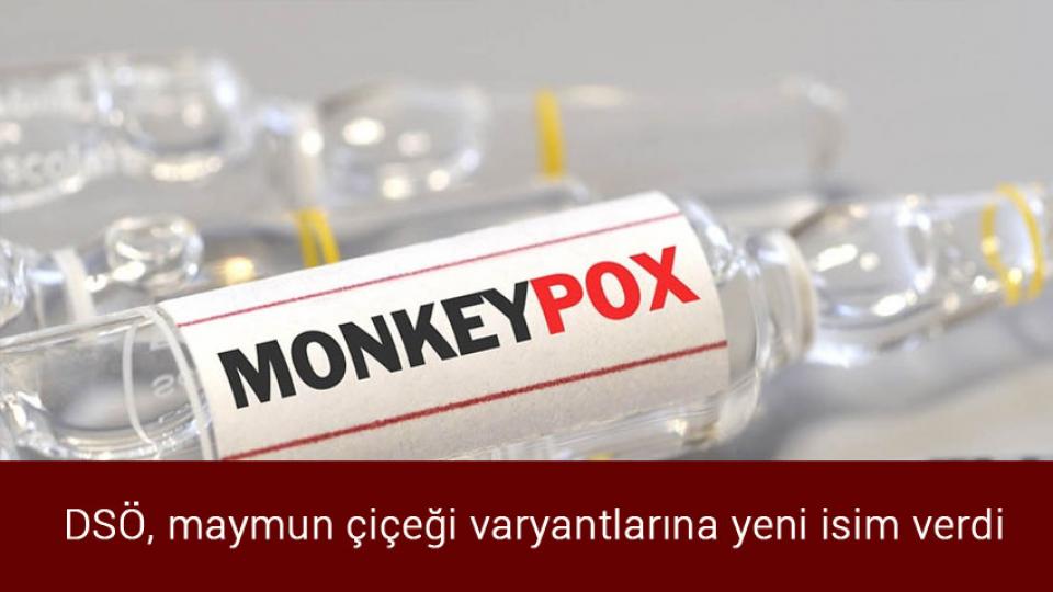 İzmir'de orman yangını / DSÖ, maymun çiçeği varyantlarına yeni isim verdi