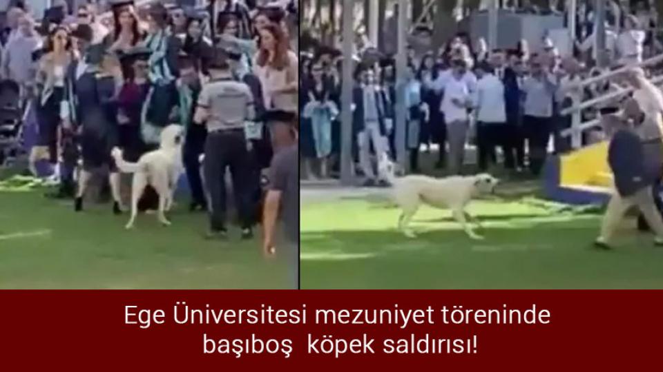 Adana'da uyuşturucu çetesinin lideri savcı, kuryeleri polis çıktı / Ege Üniversitesi mezuniyet töreninde  başıboş köpek saldırısı !