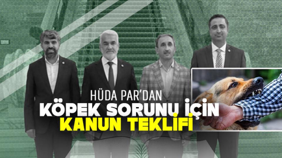 HÜDA PAR'dan başıboş köpek sorununa ilişkin kanun teklifi