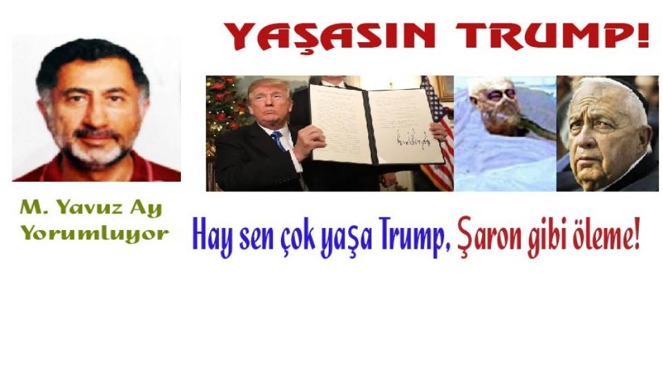 MEHMET YAVUZ AY / İnsanın Kurban Olduğu Çağdan İbrahim’e Gitmek / M. Yavuz Ay'dan Yeni bir Yazı: Yaşasın Trump!