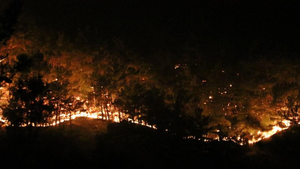 Manavgat'ta 2 yangın işçisi hayatını kaybetti