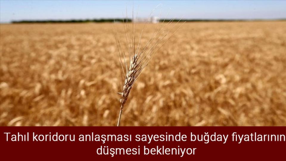 Ayasofya Camii’nin ibadete açılmasının ardından 2 yıl geçti / Tahıl koridoru anlaşması sayesinde buğday fiyatlarının düşmesi bekleniyor