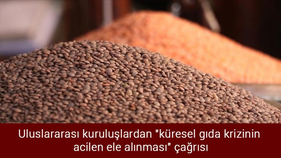 Erasmus, afişindeki "başörtülü öğrenci fotoğrafını" aşırı sağın tepkisi üzerine sildi / Uluslararası kuruluşlardan "küresel gıda krizinin acilen ele alınması" çağrısı