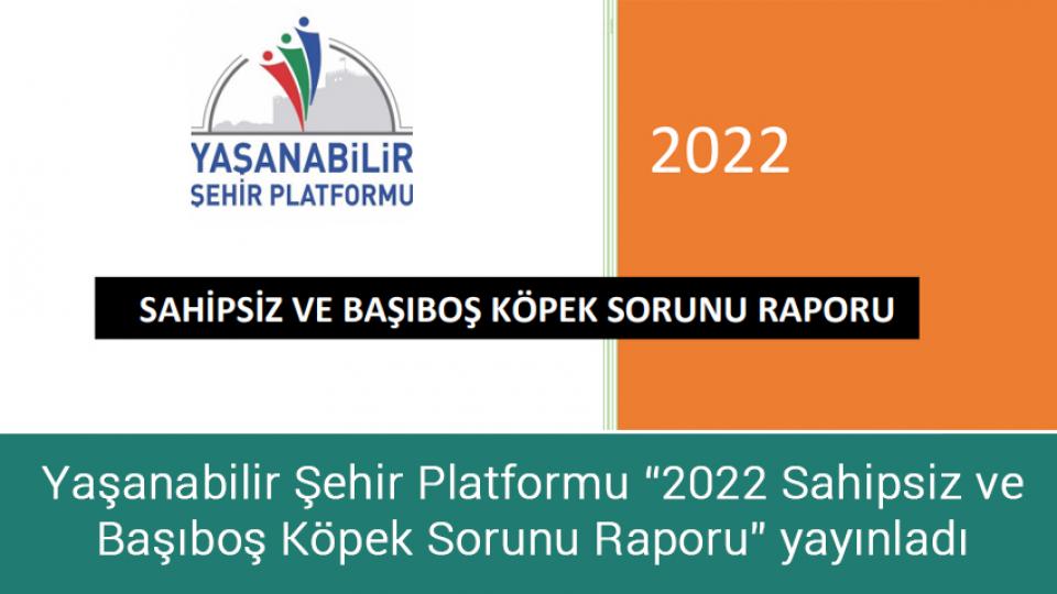 Her Taraf / Türkiye'nin habercisi / Yaşanabilir Şehir Platformu “2022 Sahipsiz ve Başıboş Köpek Sorunu Raporu” yayınladı